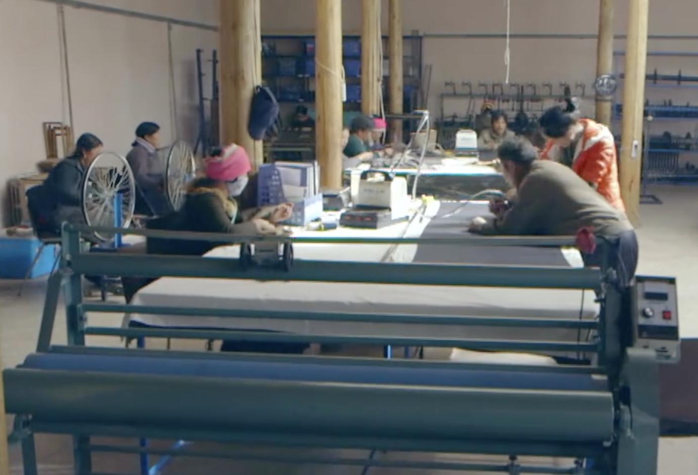 美国女孩嫁农村小伙,美国女孩嫁甘肃青海做羊绒