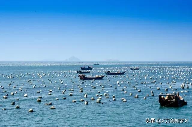 一位导游的枸杞岛之旅 (枸杞岛2021年原创游记攻略分享)