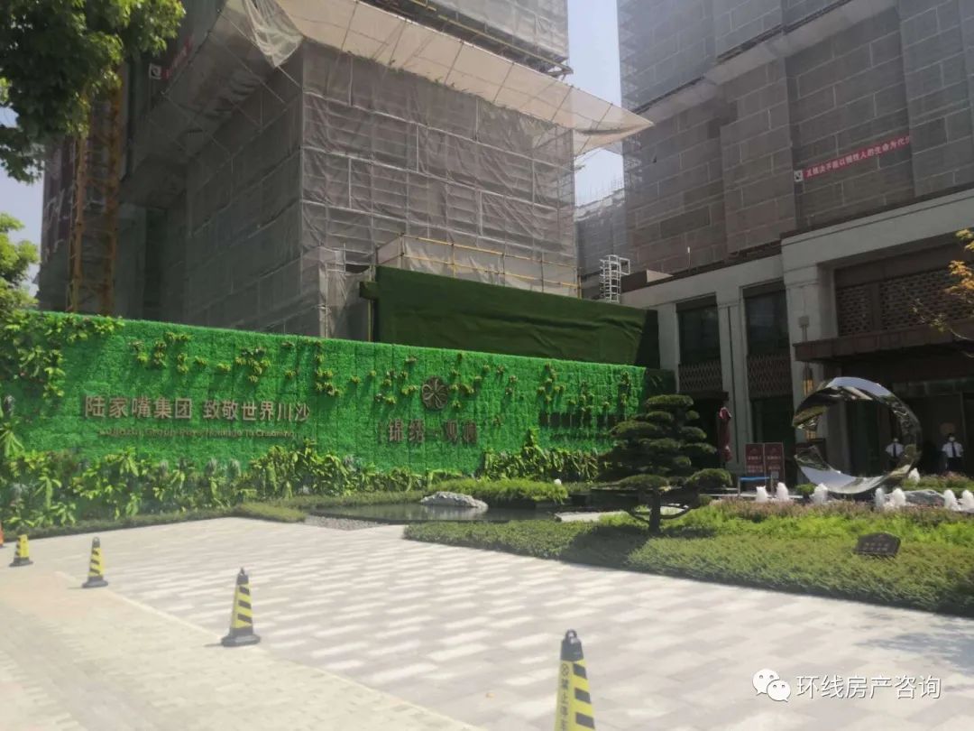 川沙值得买吗,川沙卖观赏鱼