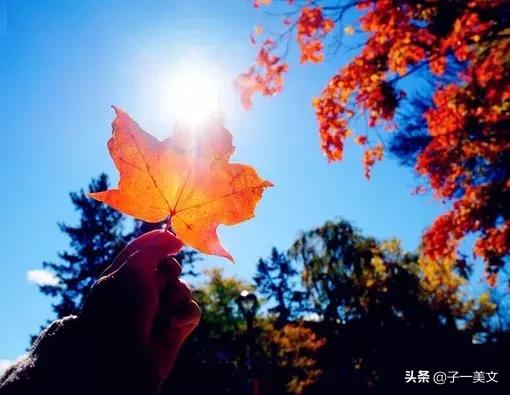 触动心弦的唯美早安心语配图,励志早安心语正能量简短触动心弦