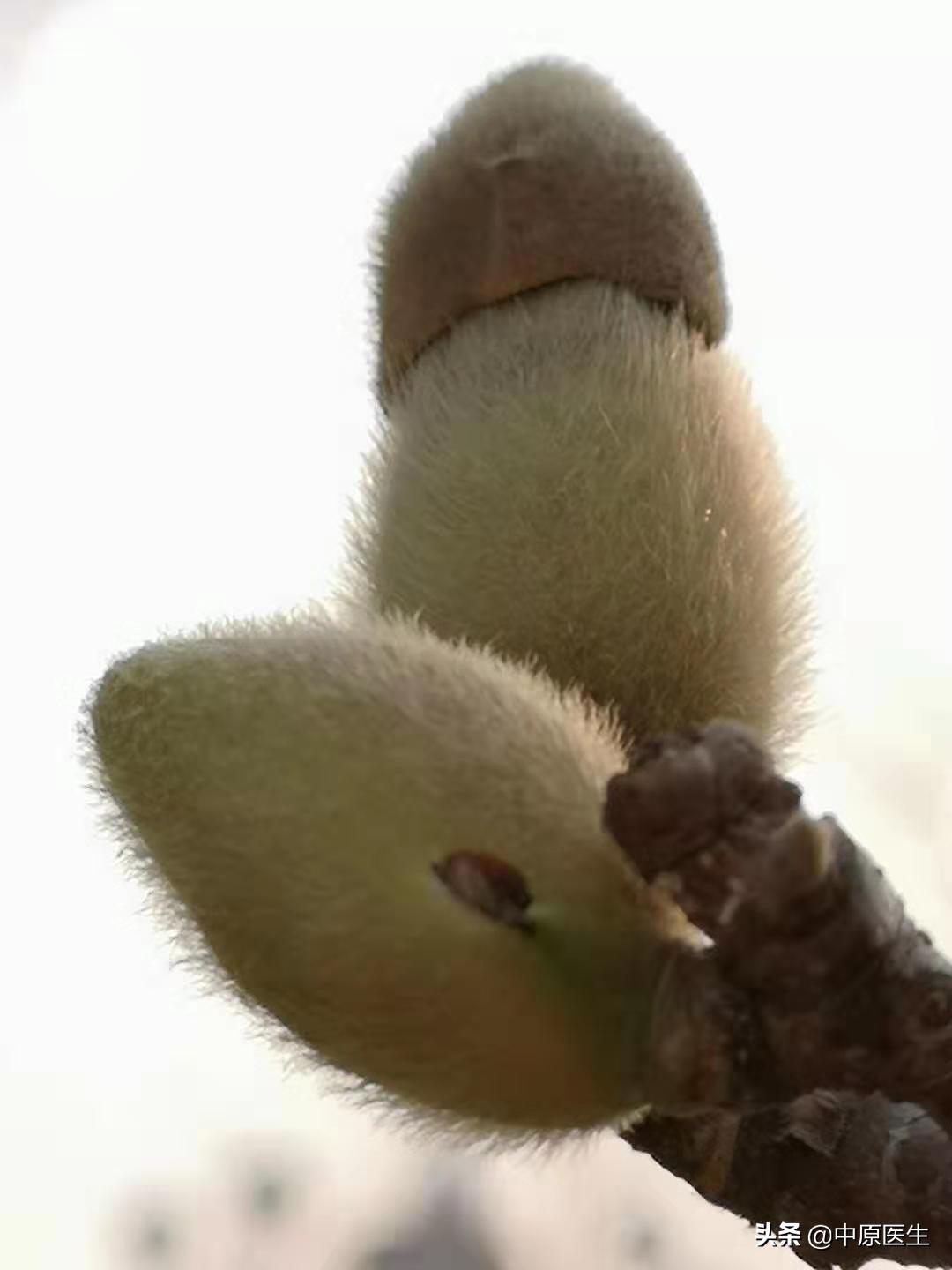 必须活检的胃溃疡:以为是胃溃疡,专家用另一方法放大发现是胃癌