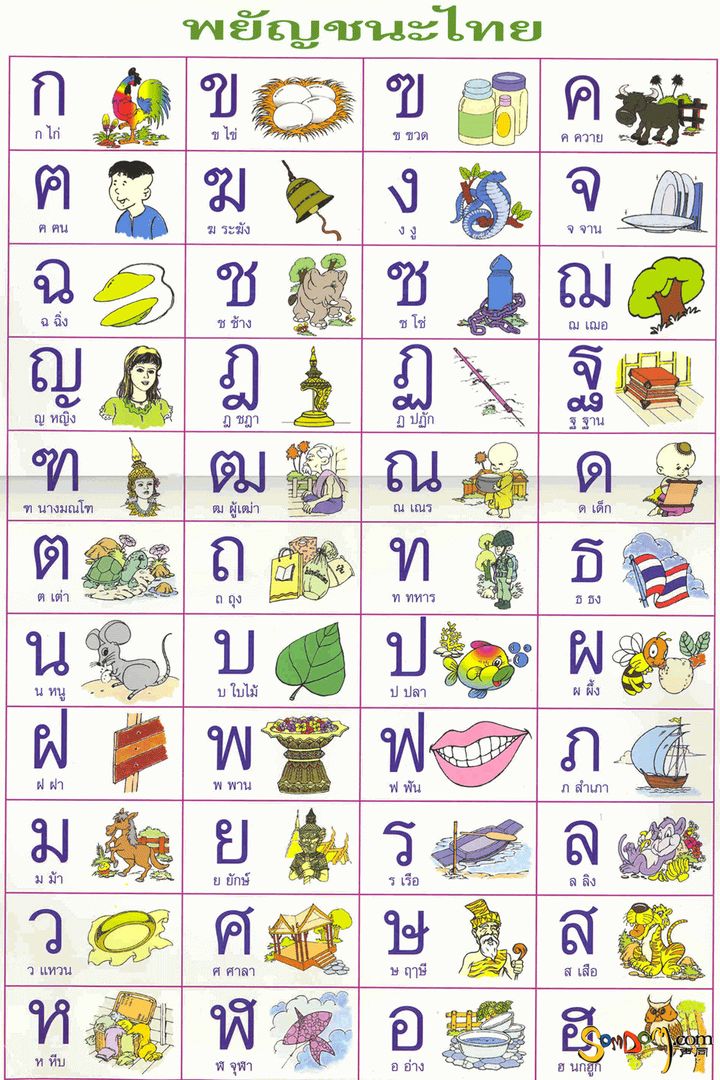 泰语基础入门学习字母元音技巧,泰语42个辅音