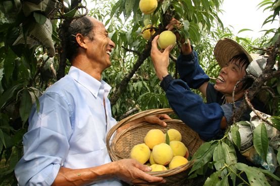 奉贤区美食美景,奉贤吃的美食推荐