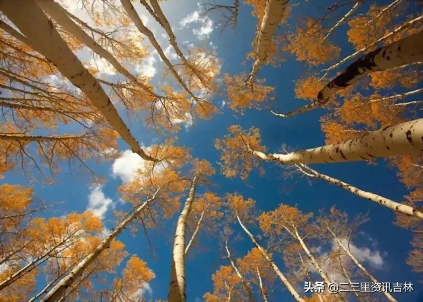 吉林秋天旅游线路,吉林土著推荐周末旅游路线