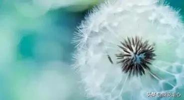 不理你的人就不要联系,不理你的人就不要再发信息了