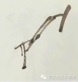 写意柿子叶的画法步骤图,徐湛写意柿子的画法