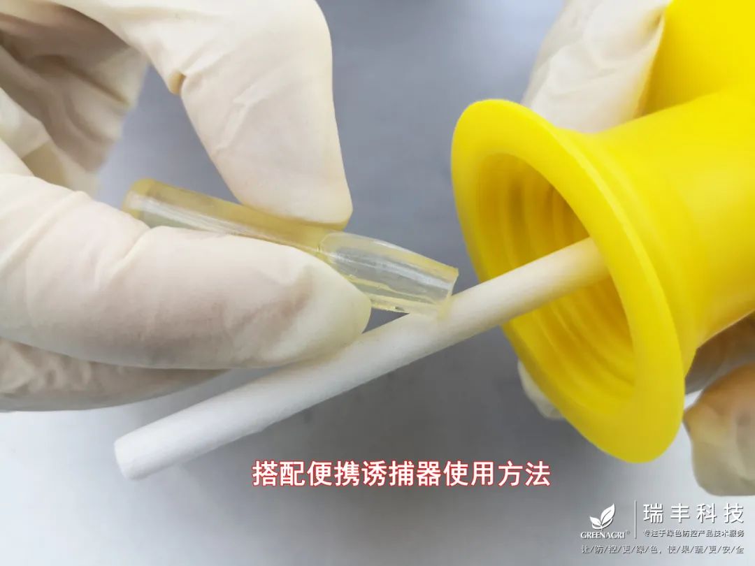 诱粘瓜实蝇,实蝇诱粘剂