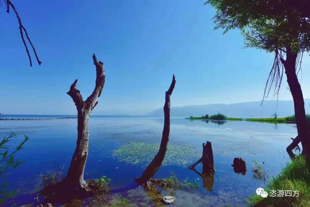 云南国庆行：最美的环海西路及海舌公园