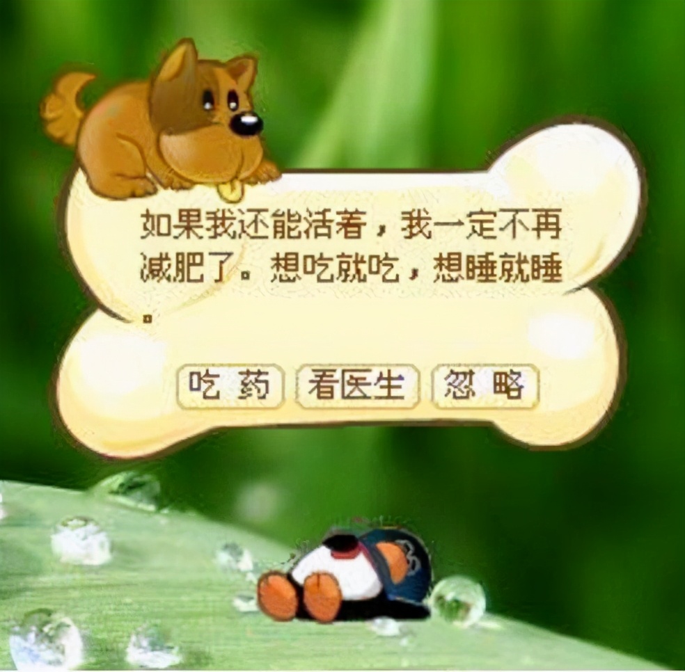 在摩尔庄园拥有500栋楼,在摩尔庄园种地