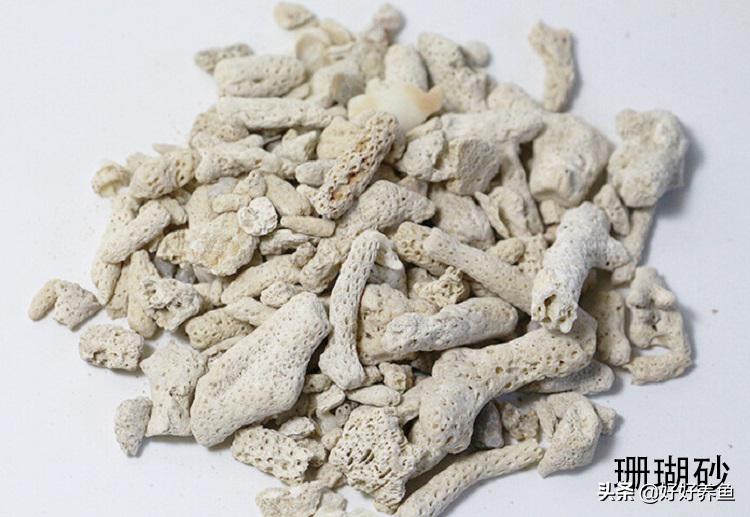 鱼缸换水注意事项养鱼老道,鱼缸养鱼换水的重要性