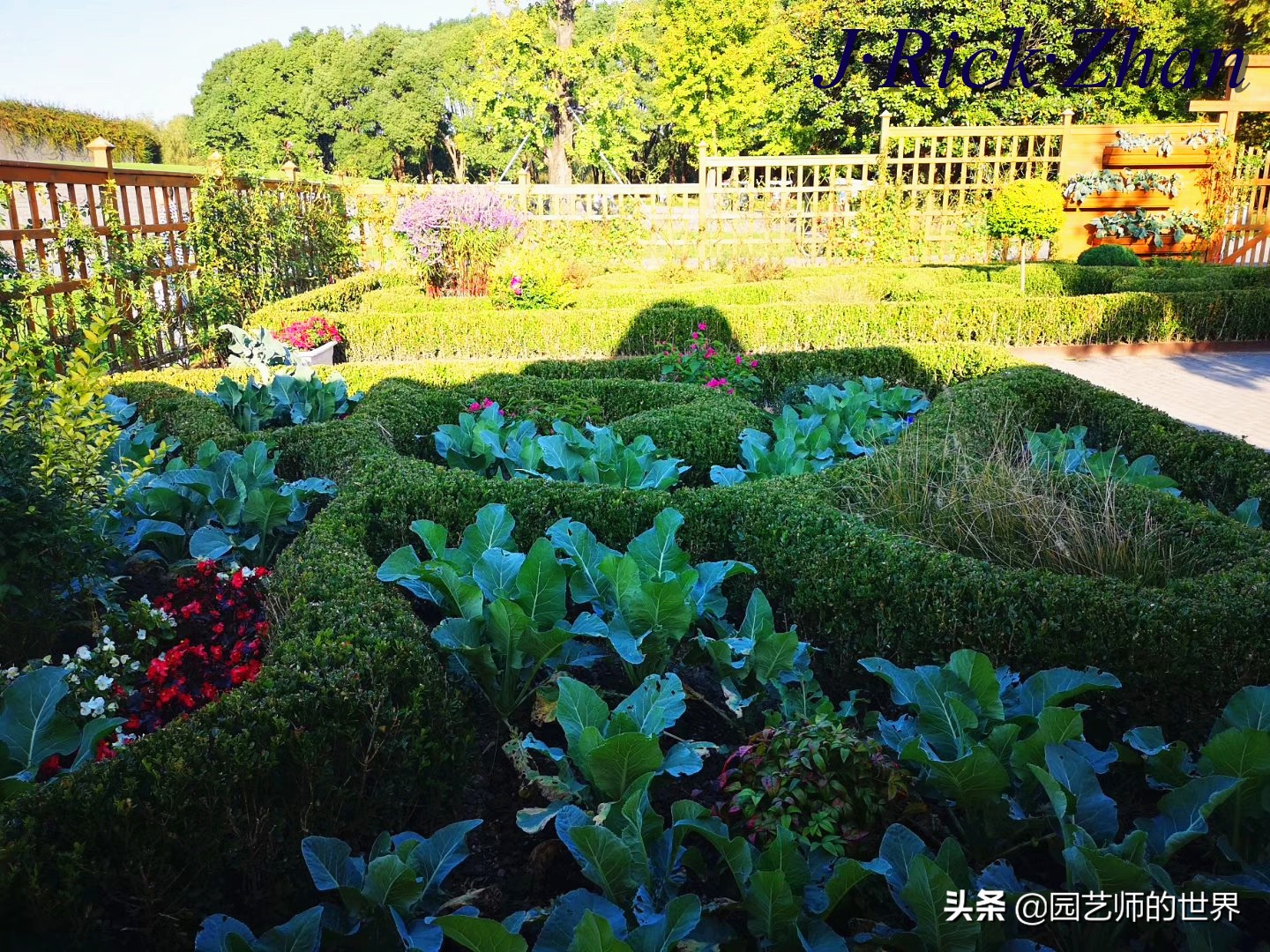 城市蔬菜园景观设计,蔬菜花园造型