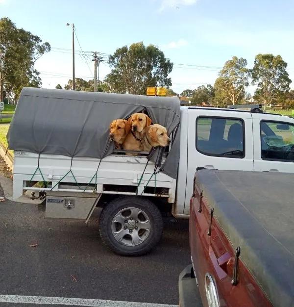 俄罗斯金刚芭比娜塔莉 (俄罗斯金刚芭比肌肉爆裂)