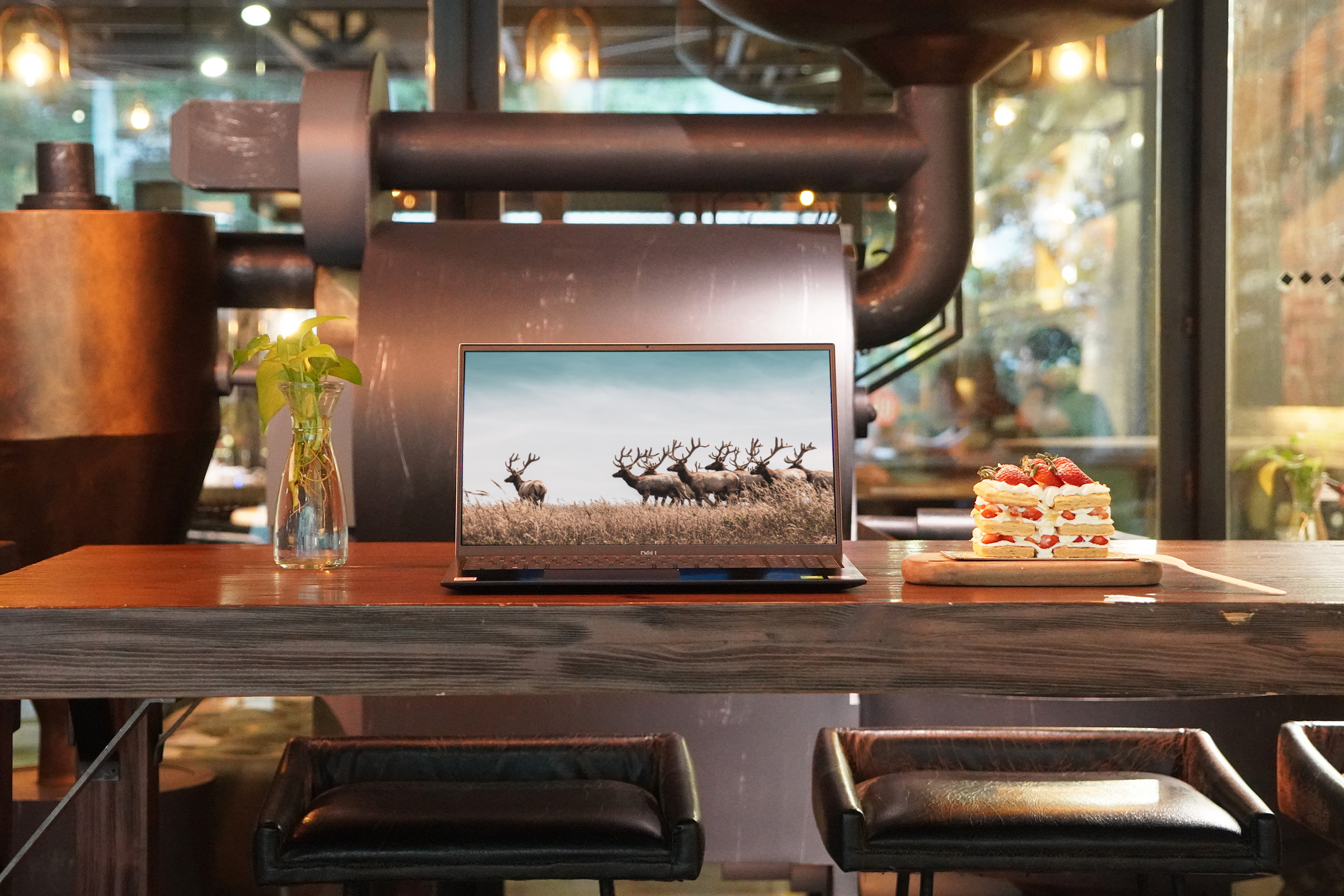 戴尔灵越155510评测,戴尔灵越155510测评