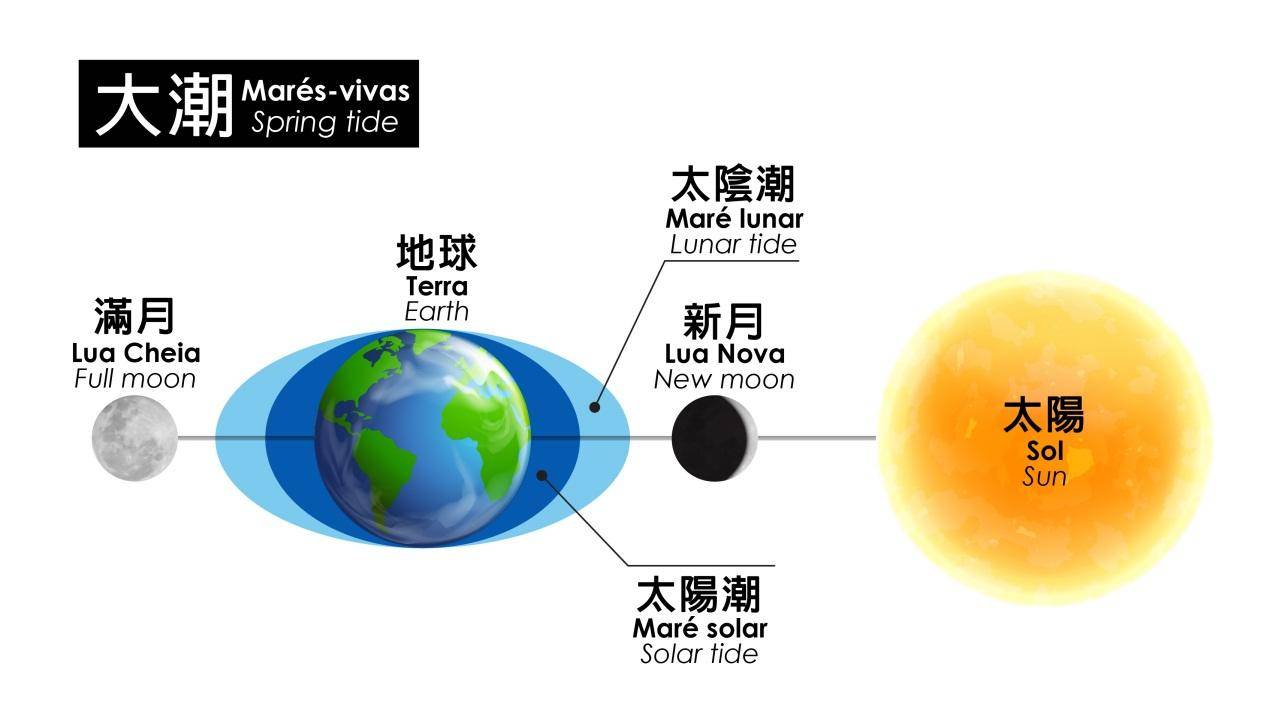 地球失去氧气会发生什么,失去月球意味什么