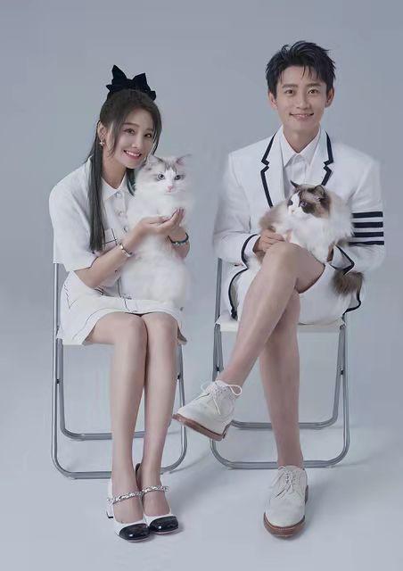 不负初恋的12位男明星,情史干净没污点的10位男星