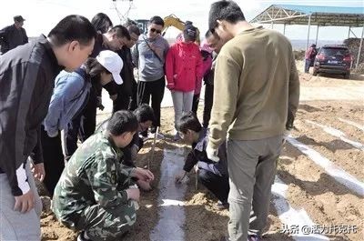 青城先锋,抓党建提士气助推脱贫攻坚