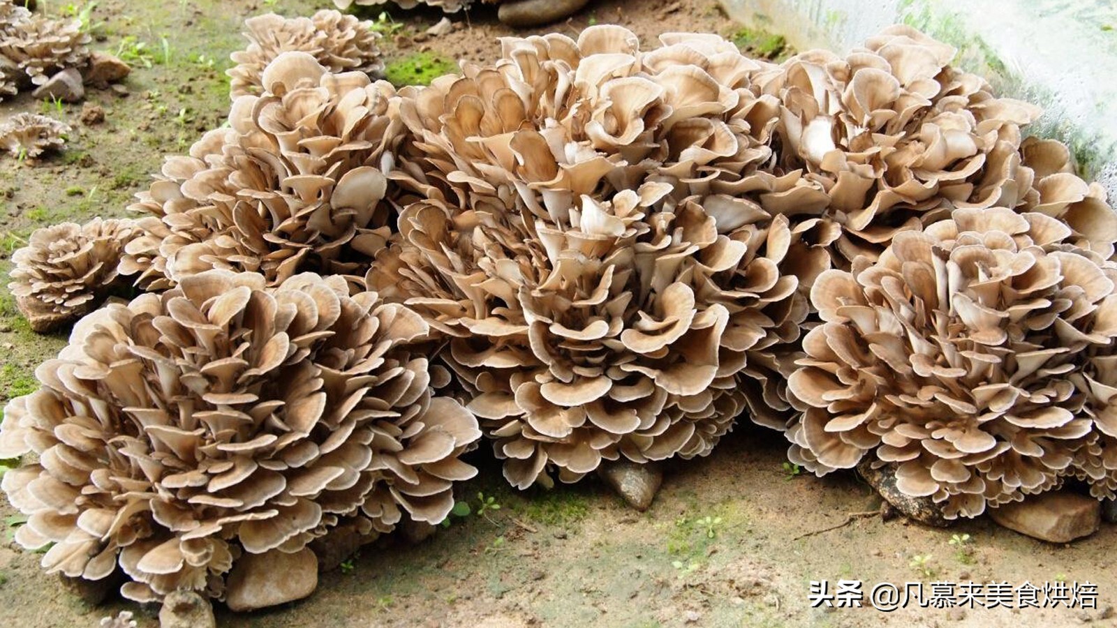 唐山什么特产适合送人,客人来唐山带点啥特产