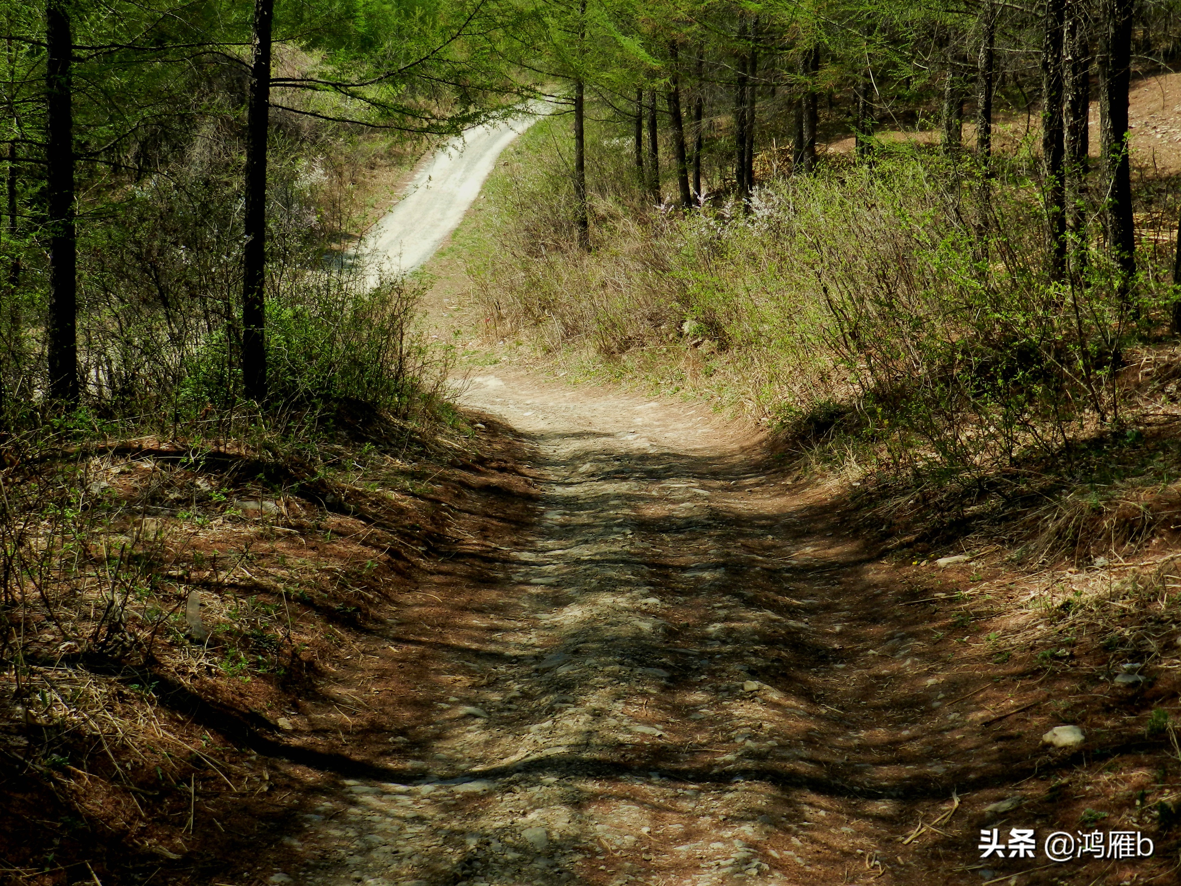 本溪小众秘境,本溪神秘山村