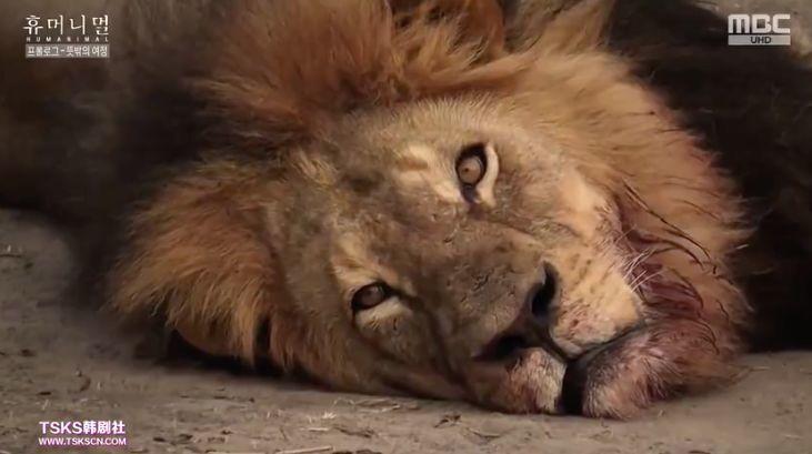 9.4分韩国催泪电视剧,韩国十部9.5评分催泪电影