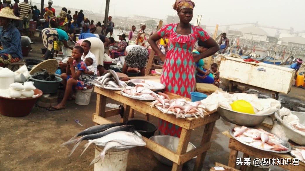 趣味又热门的冷知识大全,新鲜冷知识视频教程