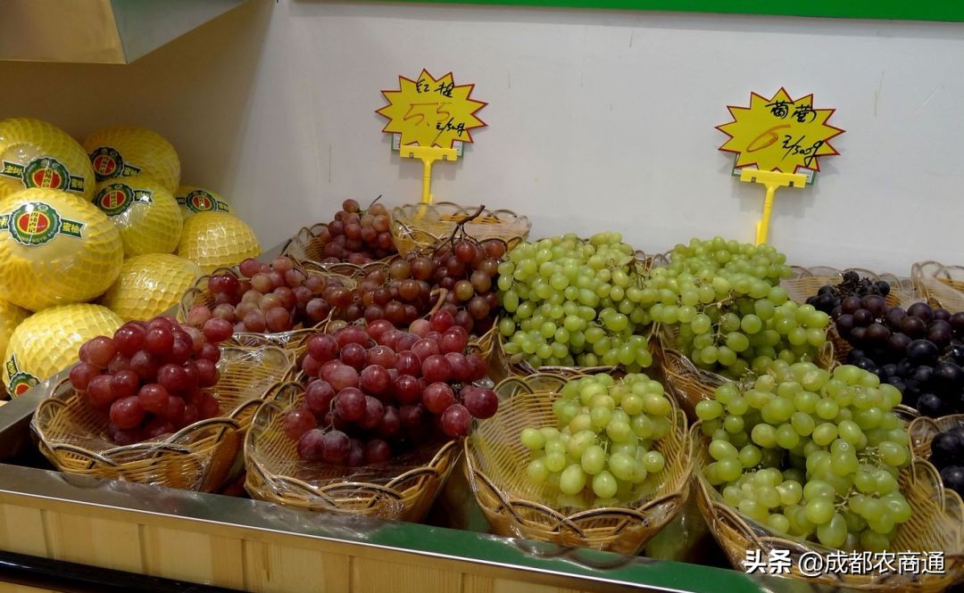 水果行业应该怎么做,怎么样才能把水果行业做大做强