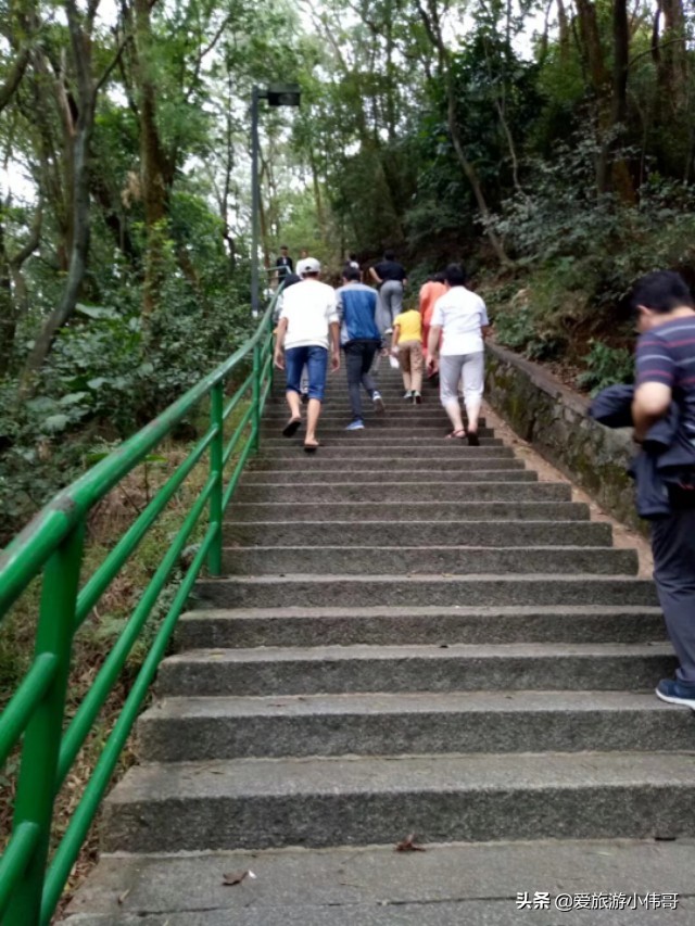 观光公园广东东莞,东莞的八大公园之一