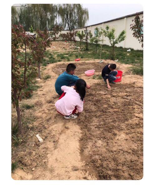 超生的孩子能读公办小学吗,乡村小学与城市小学区别