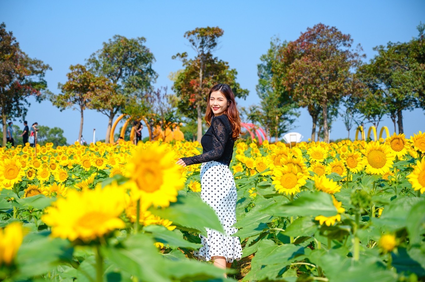 走进南京高淳,打卡网红打卡地固城湾景区,品尝固城湖螃蟹