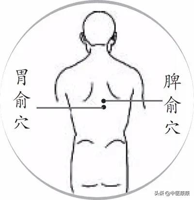 三伏贴敷冬病夏治正当时,三伏贴一些不可不知的小知识