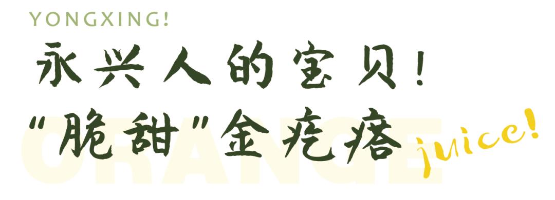 超爽福利暴击！高山神秘“金疙瘩”,甜蜜你的冬天