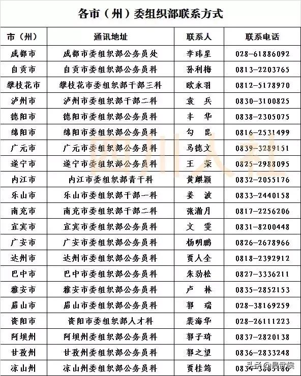 四川选调生2024公告职位表,四川选调生2024选调公告条件