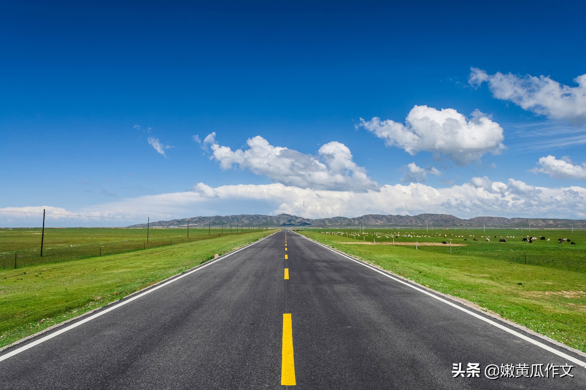 会用素材是写作硬道理!选材4招+范文3篇点亮作文航标灯