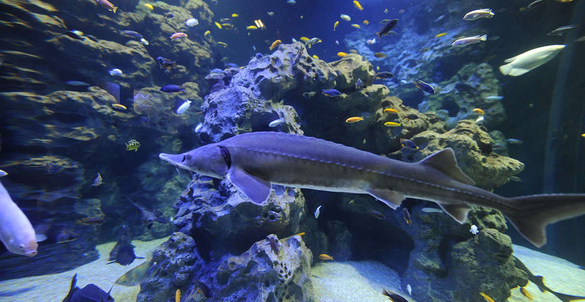 成都周边春季徒步旅游攻略,成都森林徒步旅游攻略