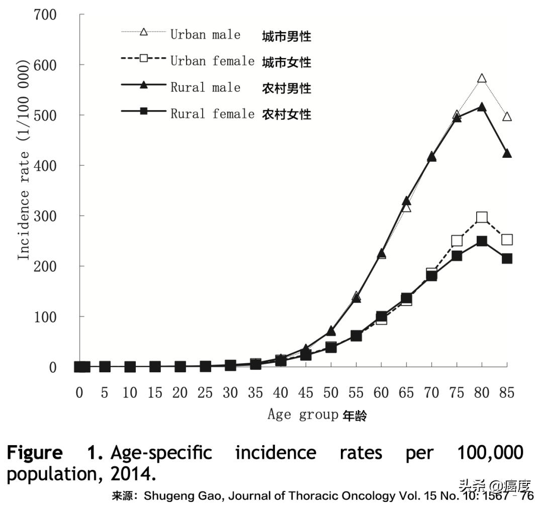 深度解读丨我国肺癌的发病与死亡现状，及筛查、诊断、治疗