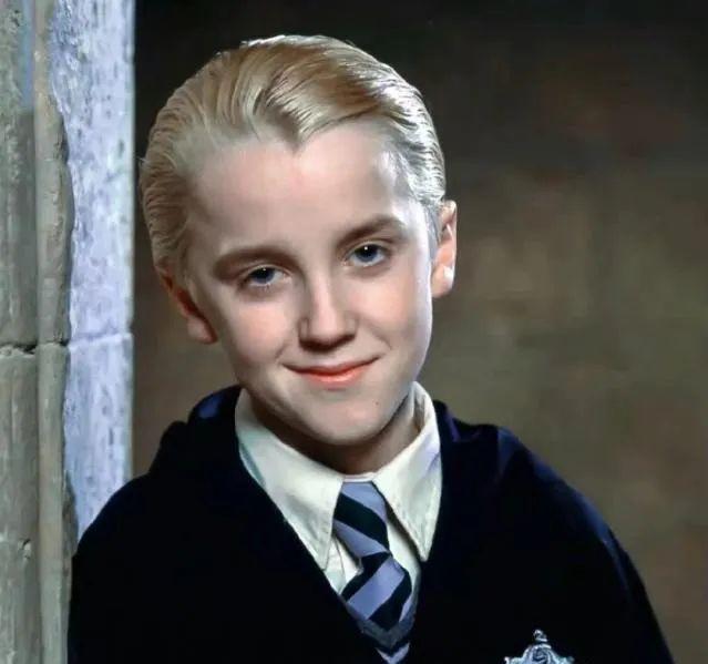 我身穿蛇院袍，在环球影城看「德赫」同人文？