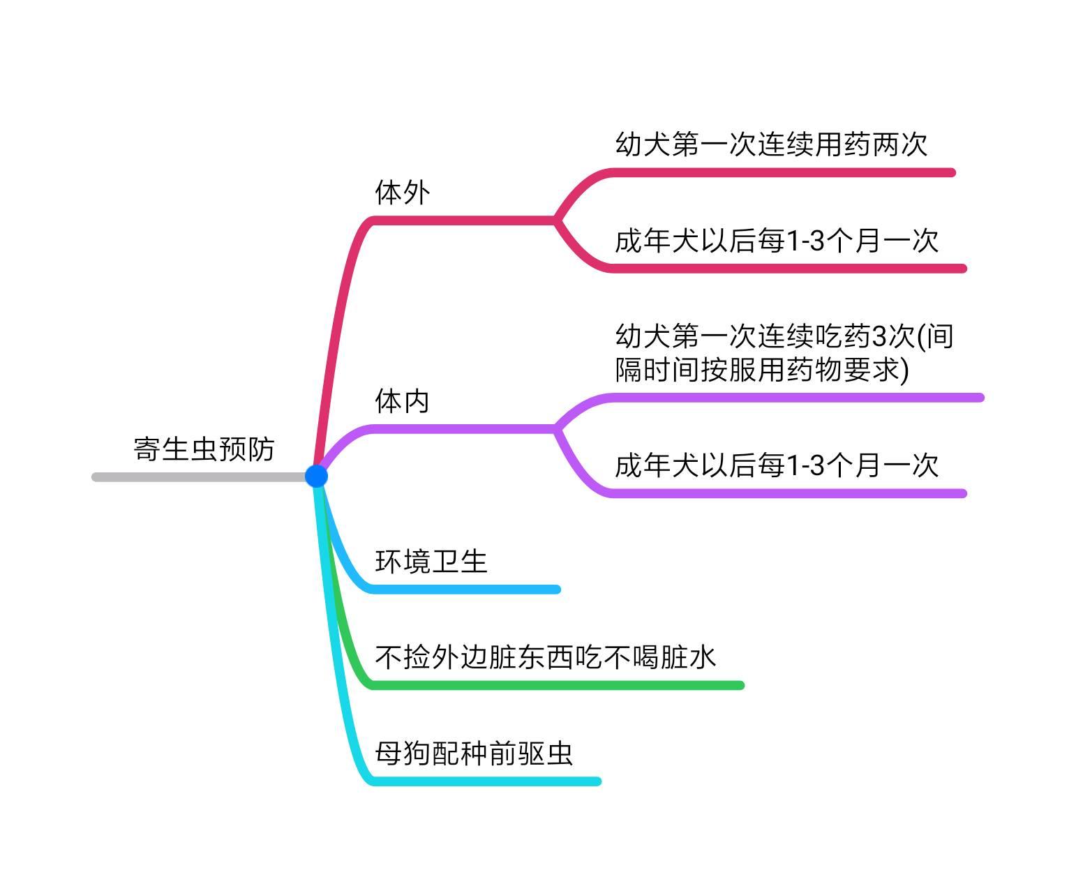 宠物寄生虫清除全过程,猫狗寄生虫治疗方法