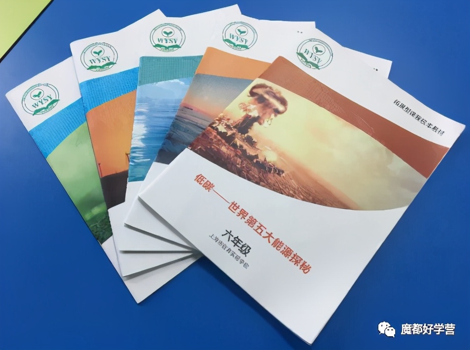 徐汇区一贯制学校,徐汇区九年制一贯制学校