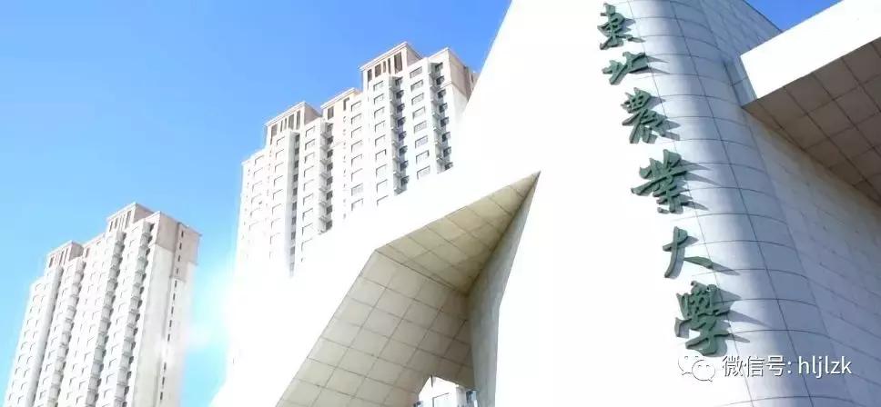 每日一校山东大学,每日一校南京农业大学