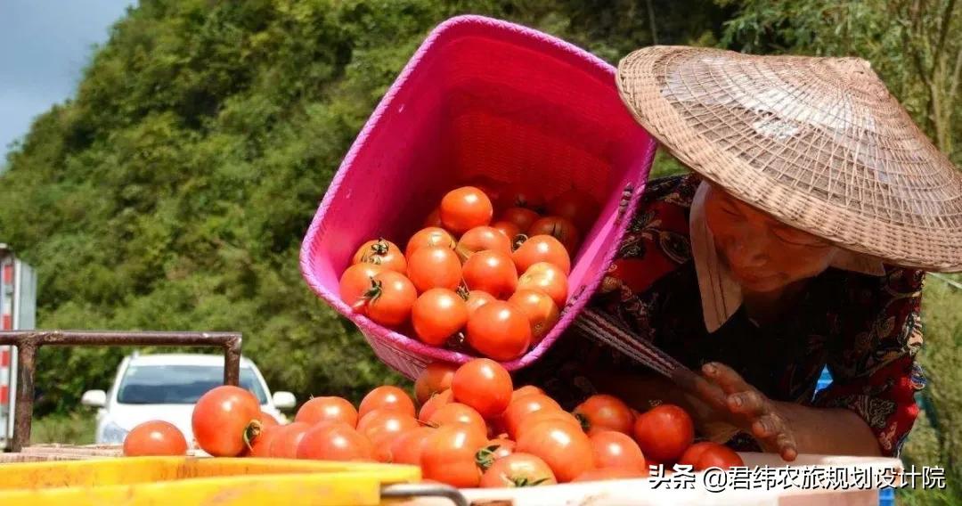 最新农业扶持创业项目推荐,农业扶持项目有哪些