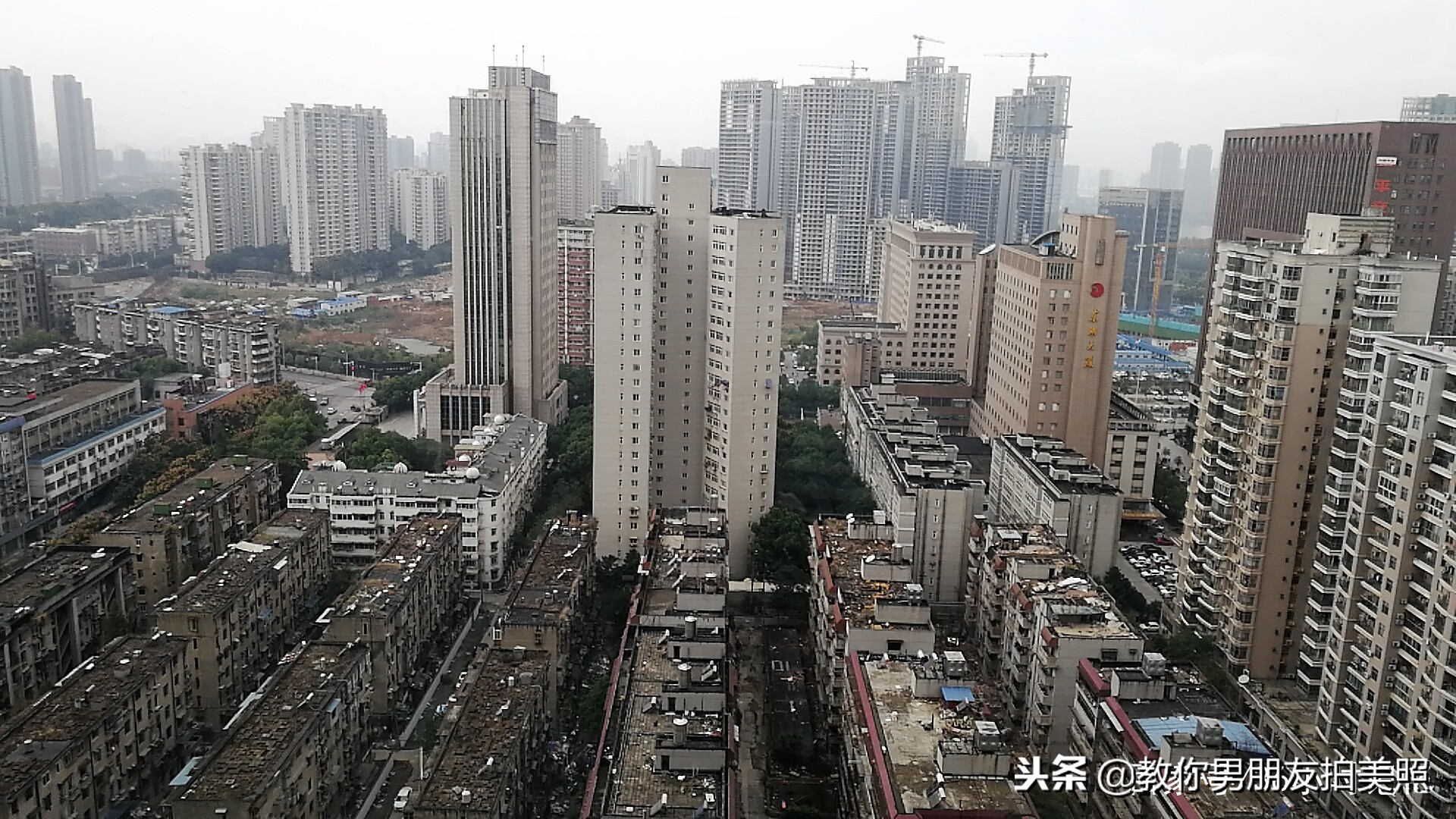 我懂法律,我懂法所以没还手