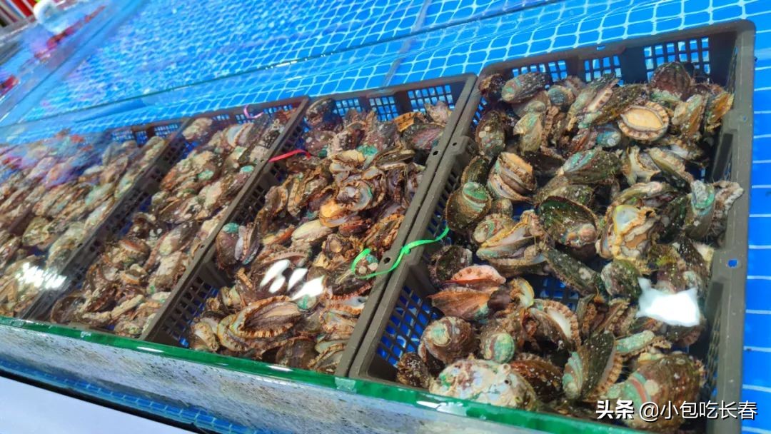 住邦夜市开了吗,住邦夜市在哪