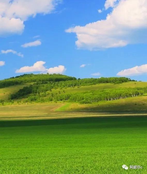 想去的地方是草原歌词,想去的地方是草原唱谱