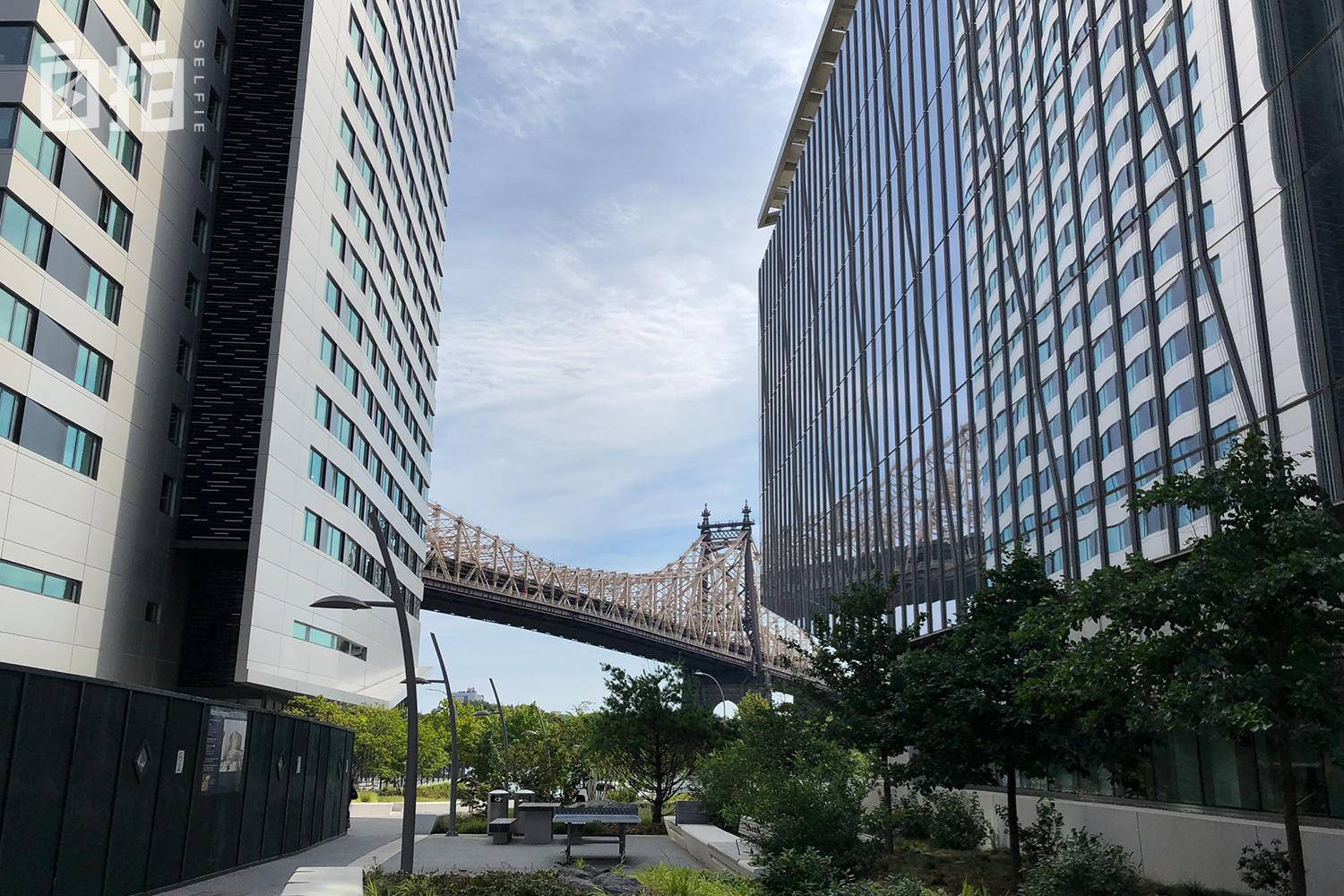 我卖掉北京房子，带着家人在美国打拼，发现美国不是想象中那样