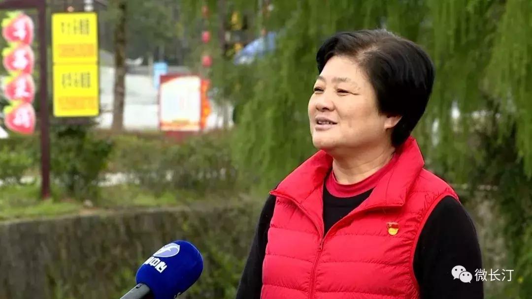 沈腾乡村振兴,长汀策武乡村振兴