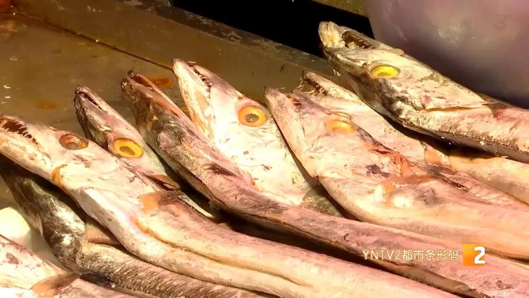 日本核废水排海后海鲜能放心吃吗,海鲜还能吃吗官方回应