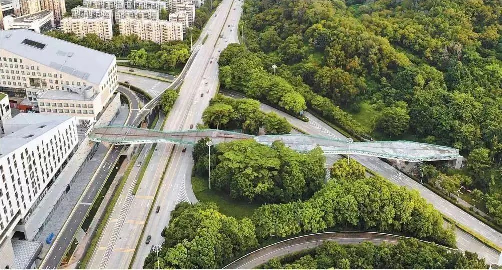 假期去得太快就像龙卷风,假期来去匆匆