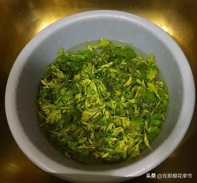 一位客家妈妈用艾草煮水给儿子洗澡，结果万万没想到.