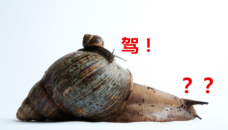 大波非洲大蜗牛袭击水电站，我方高地正被入侵！它们竟然吃水泥？