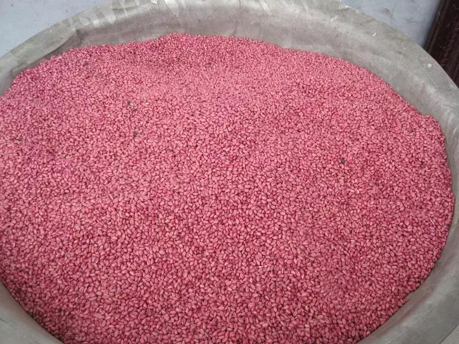 小麦弱苗黄苗如何进行补救,小麦发黄死苗怎么办