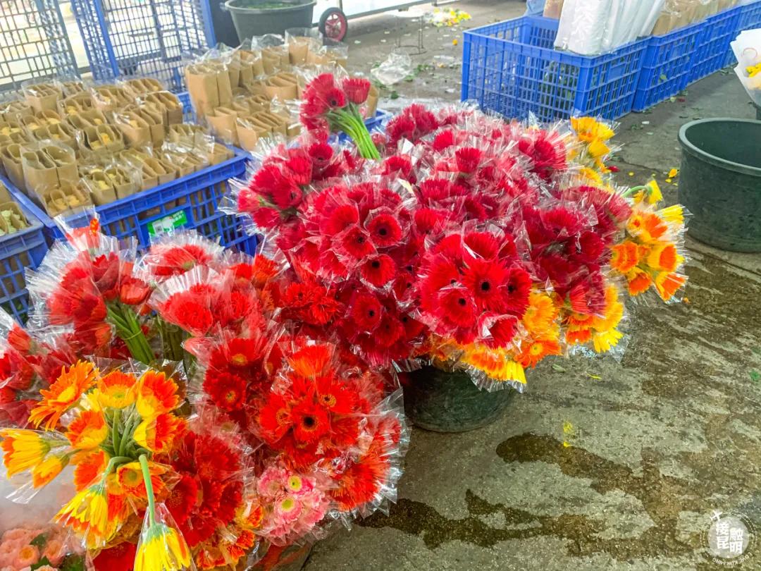 昆明鲜花进货渠道,昆明尚义花市